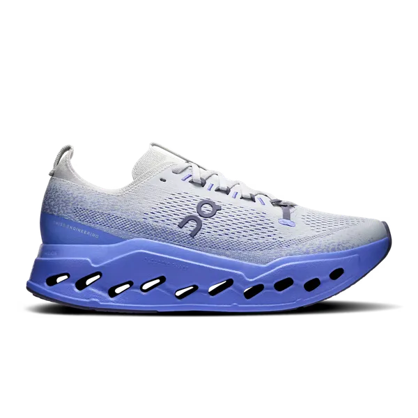On Running Men's Cloudsurfer Max wolf/sailor